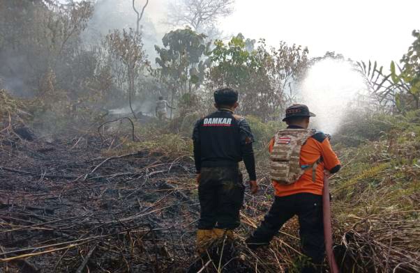 karhutla-meluas,-bpbd-sumbar-bakal-tetapkan-status-siaga-darurat