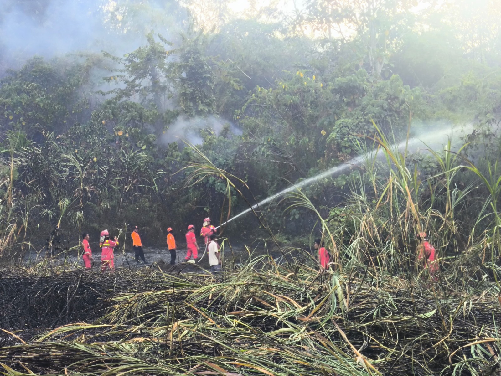 sumbar-tetapkan-status-siaga-darurat-karhutla-hingga-60-hari-ke-depan