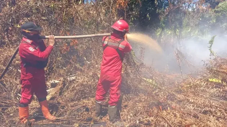 setelah-19-hari,-karhutla-di-tanjung-peranap-selesai