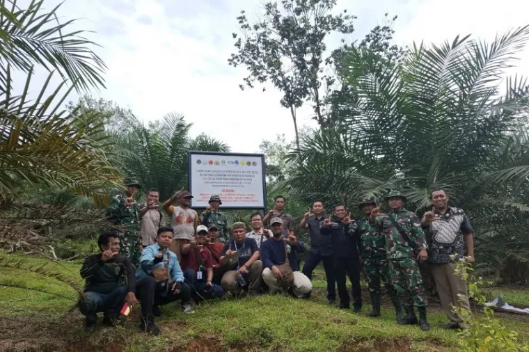 8.000-hektare-hutan-di-sumbar-ditertibkan,-dua-korporasi-terlibat