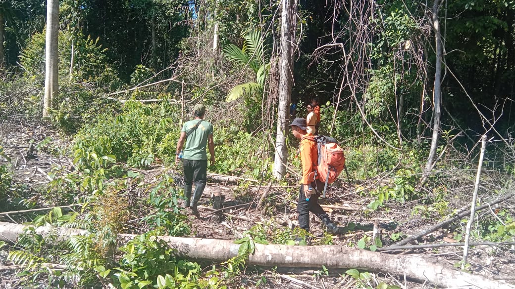 tim-sar-gabungan-lakukan-pencarian-warga-hilang-di-hutan-mentawai