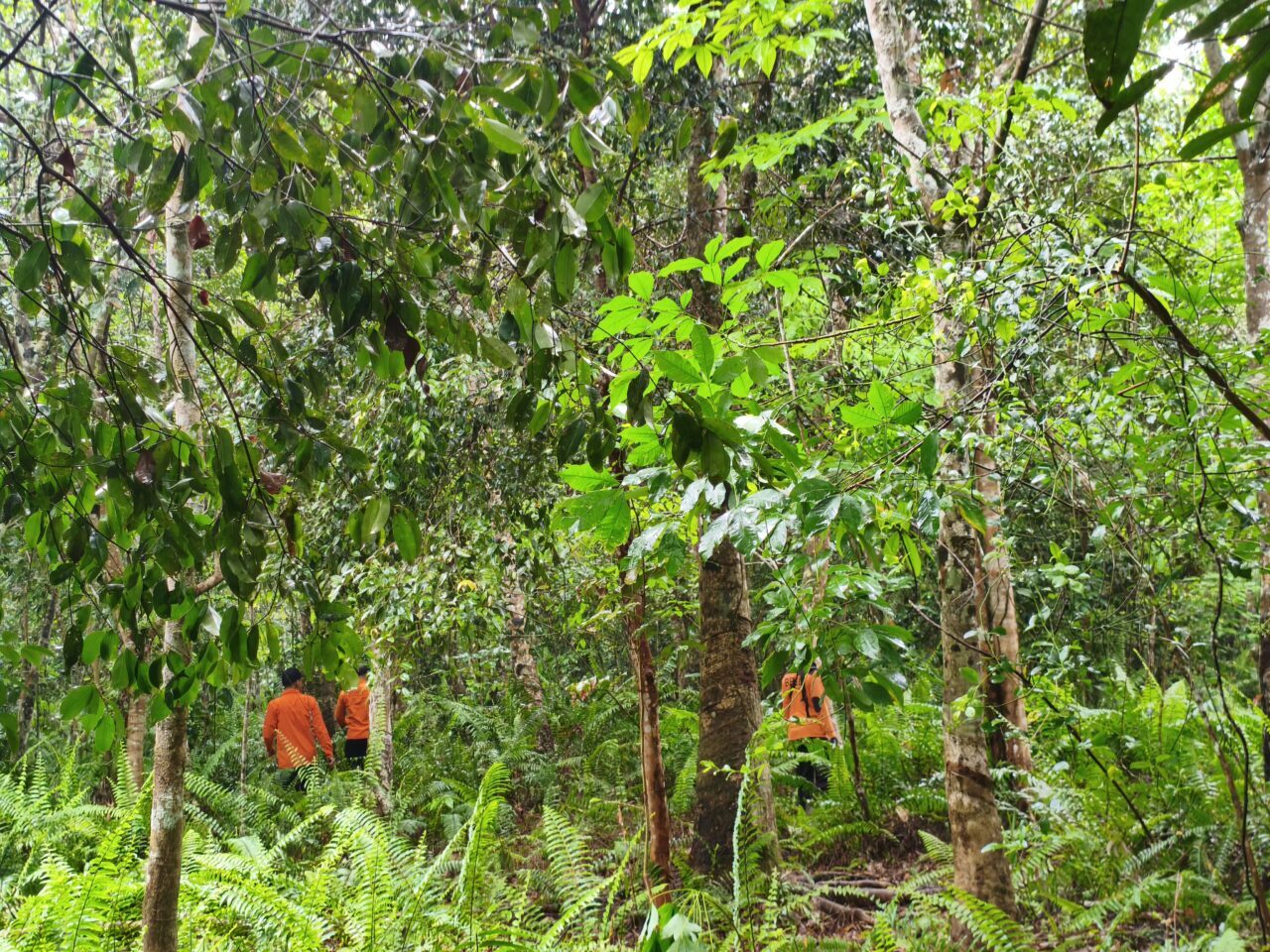 pria-lansia-di-riau-hilang-di-kebun-karet,-tim-sar-kerahkan-pencarian