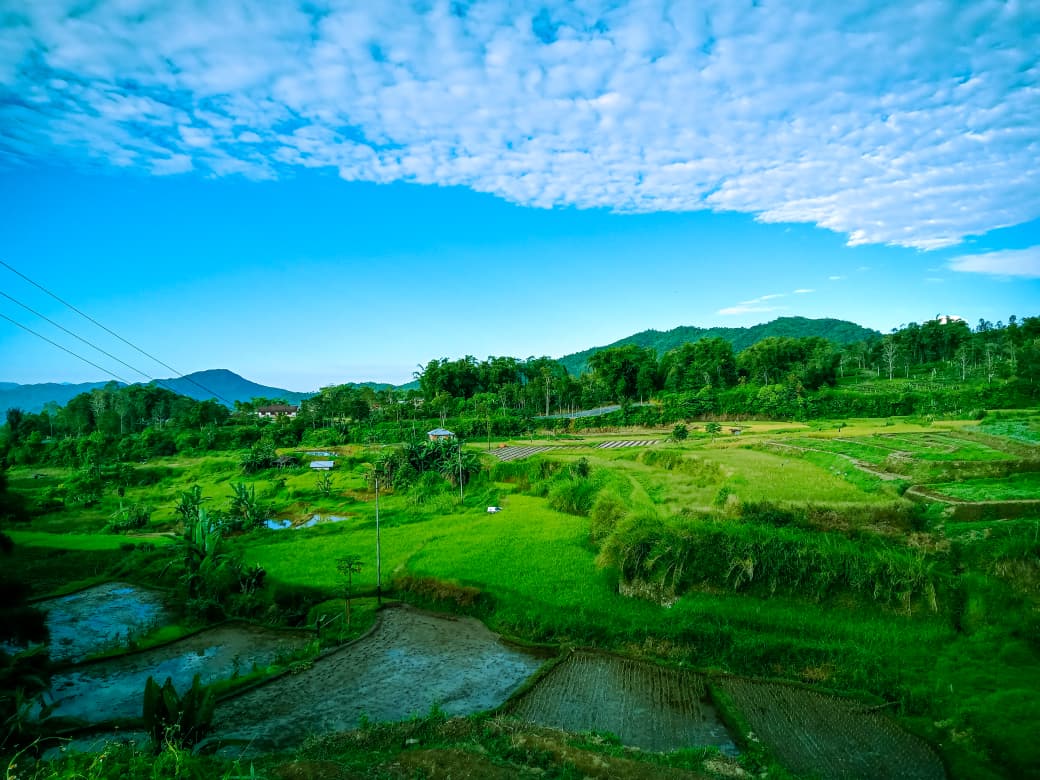 rencana-pembangunan-pltp-di-tandikek-tuai-penolakan