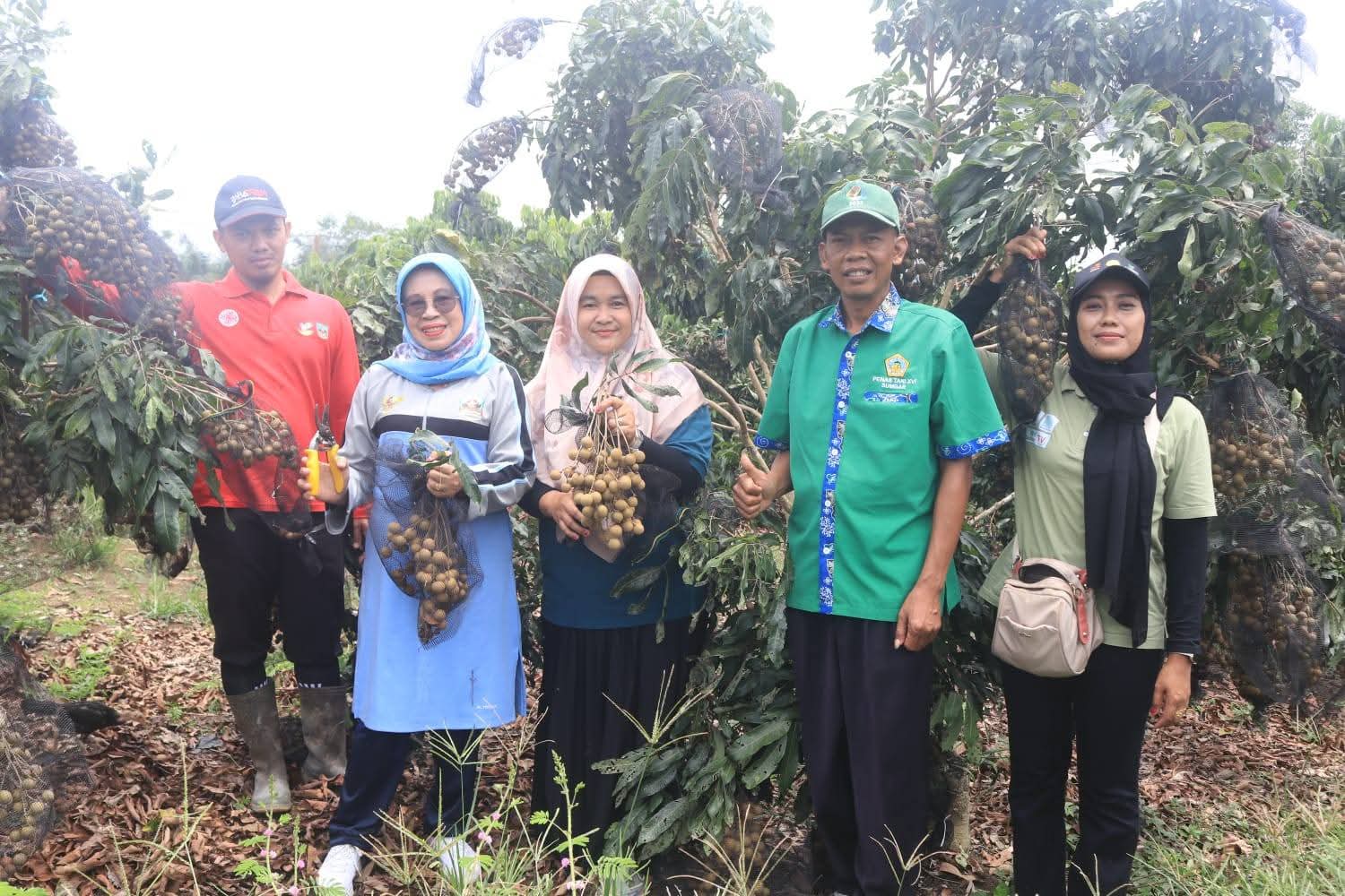 dorong-peningkatan-ketahanan-pangan,-wabup-dharmasraya-kunjungi-kebun-warga
