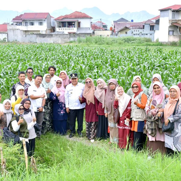 bupati-agam-dorong-optimalisasi-700-hektare-lahan-terlantar-untuk-jagung