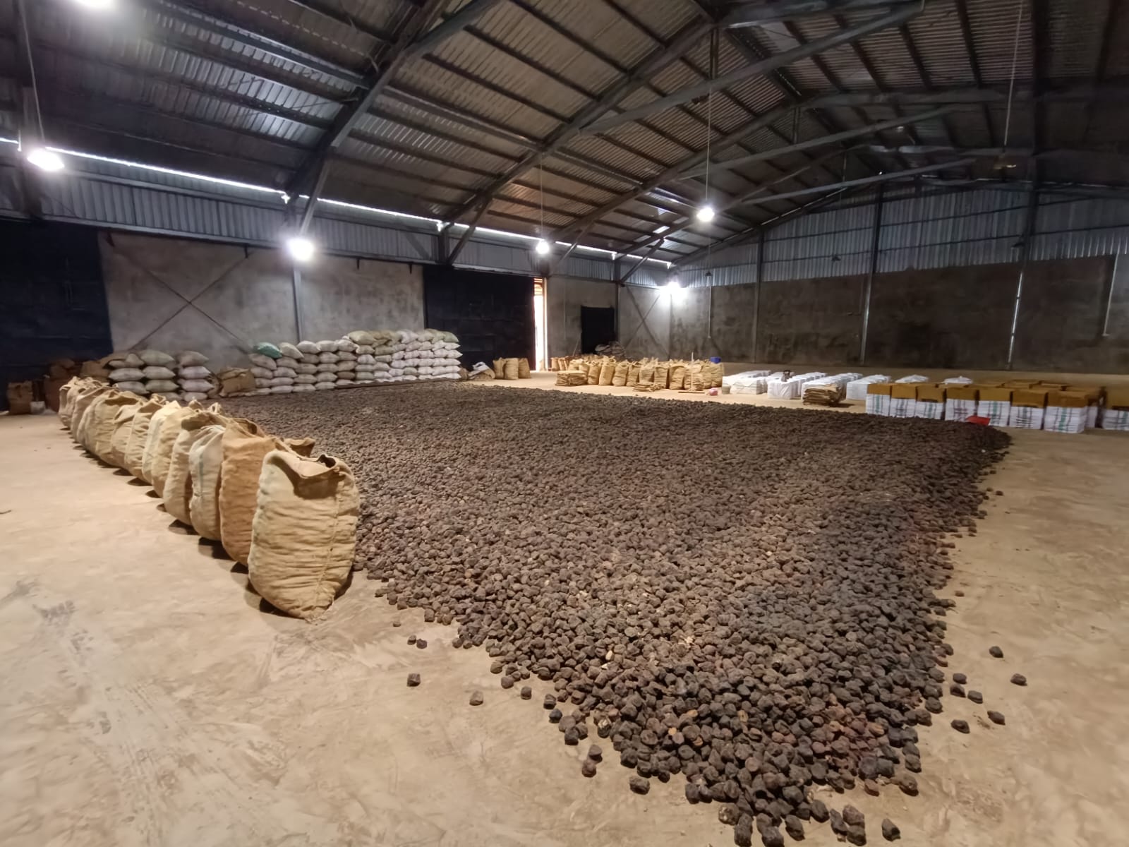 petani-limapuluh-kota-desak-mentan-amran-sulaiman-segerakan-program-hilirisasi-produk-gambir