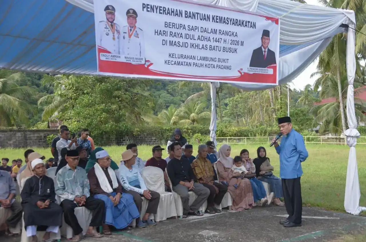 warga-pauh-terima-sapi-kurban-bantuan-presiden-prabowo-subianto-seberat-964-kg